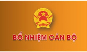 Thủ tướng Chính phủ bổ nhiệm nhân sự một số cơ quan